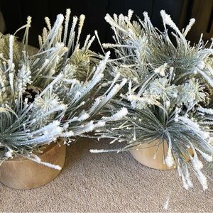2 Frosted Pine Arrangement in Wooden Pot